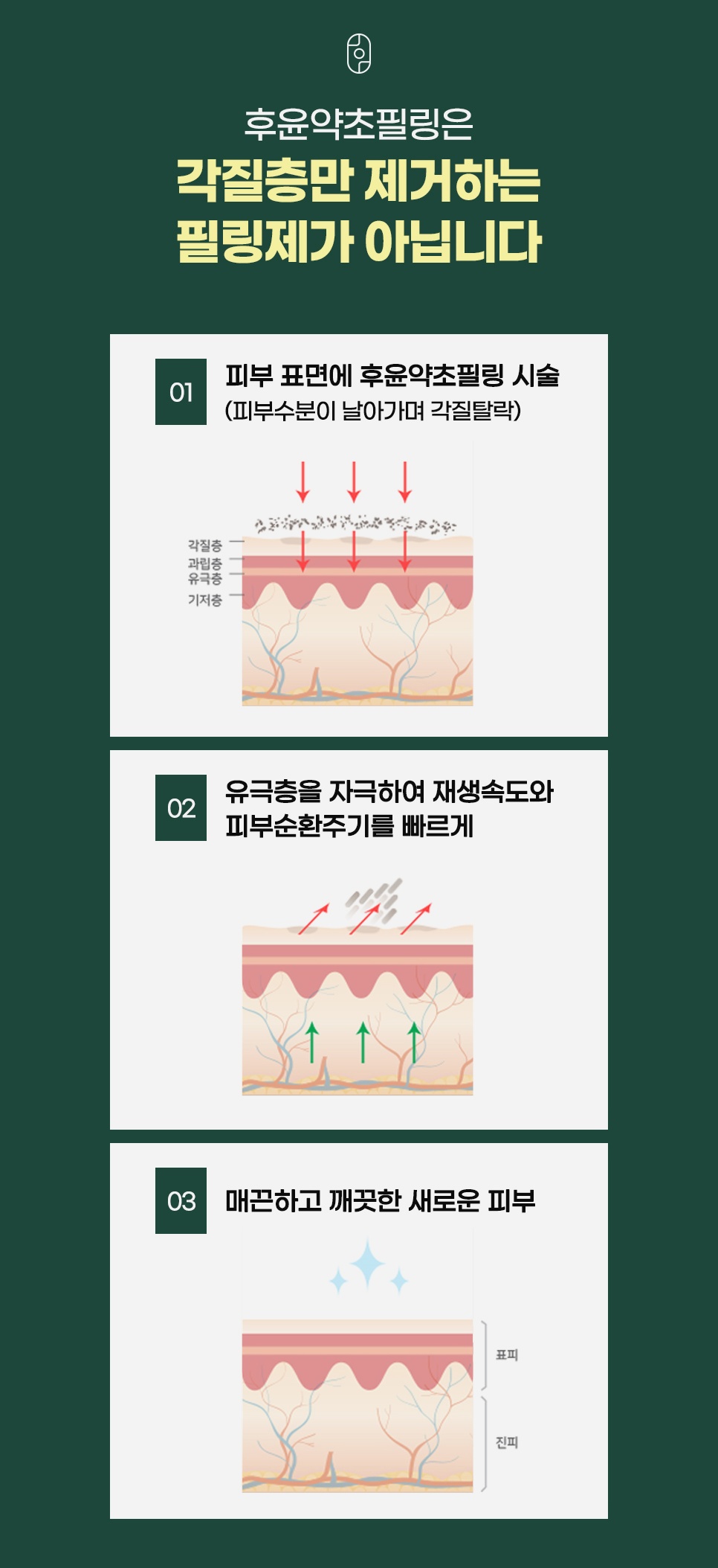 각질탈락부터 유극층 자극, 새 피부 재생까지 이어지는 후윤약초필링의 3단계 원리